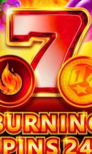 Burning Spins 243